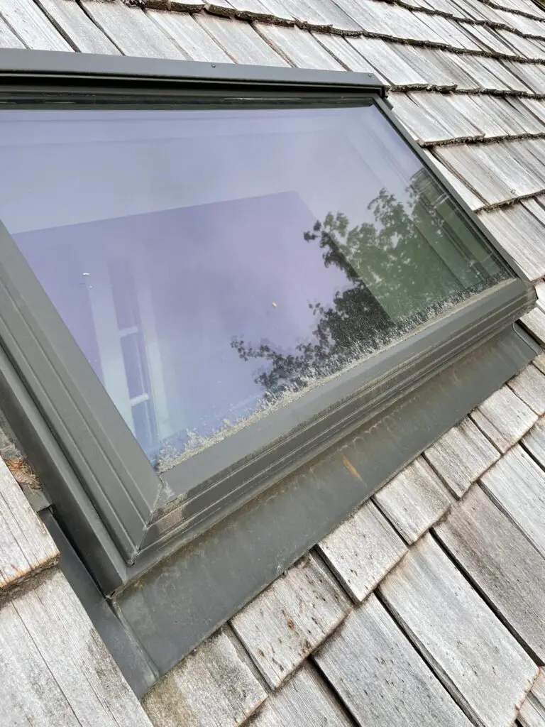 skylight window cleaning