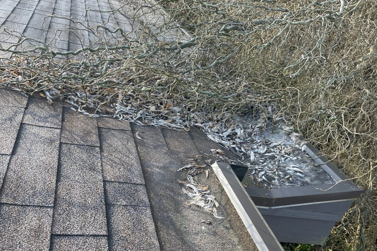 gutter-cleaning-before