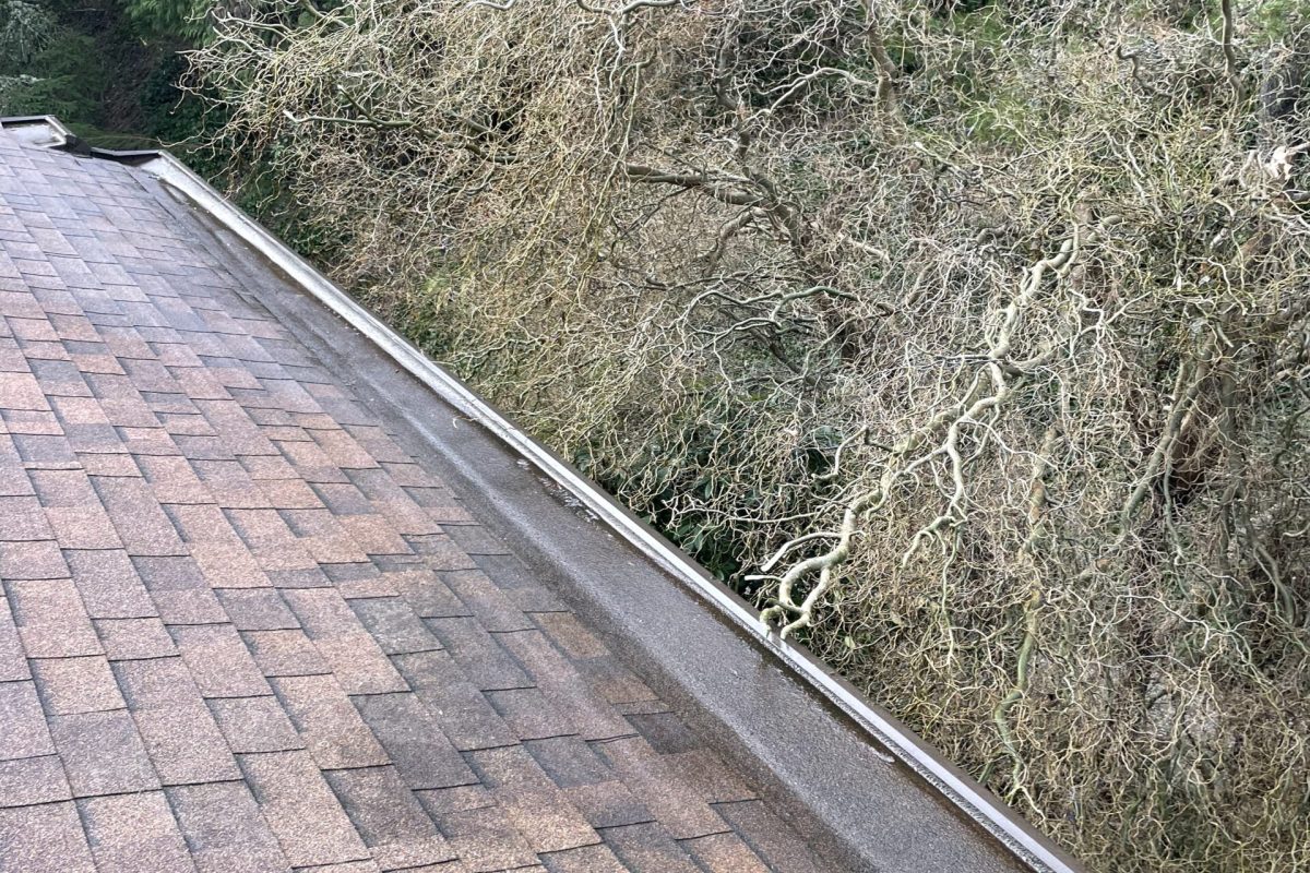 gutter-cleaning-after